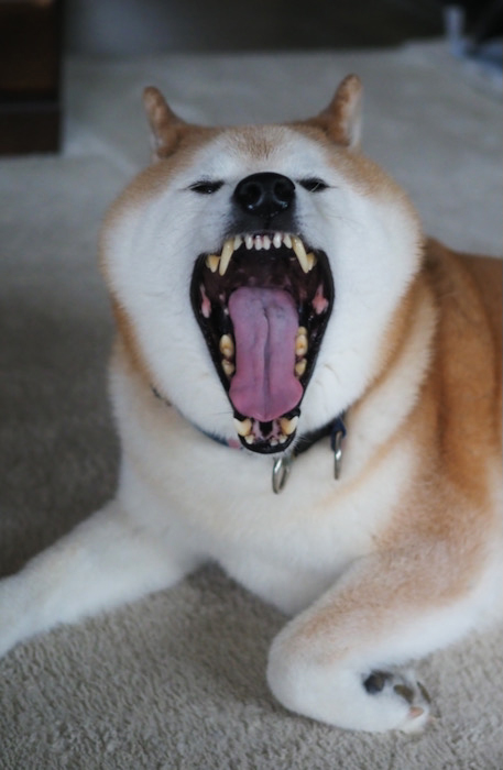 9日ブログ４