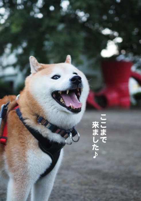 25日夜ブログ2