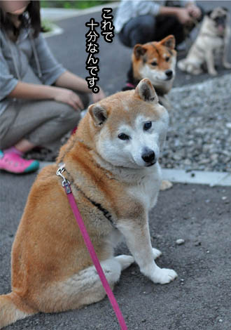 29日ブログ20.jpg