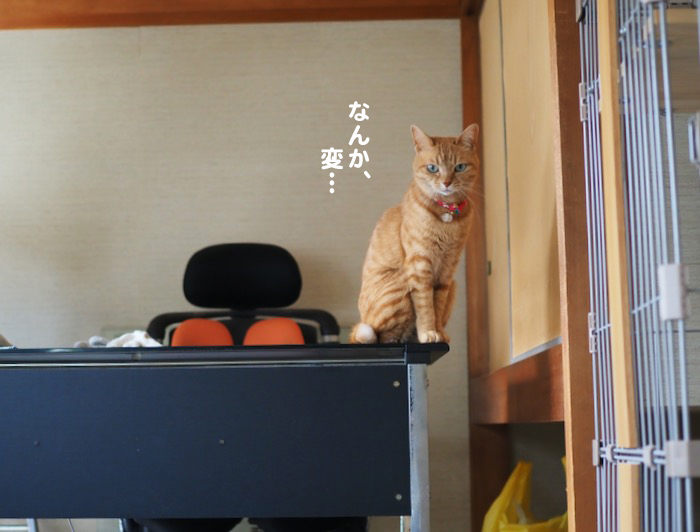 6日ブログ6
