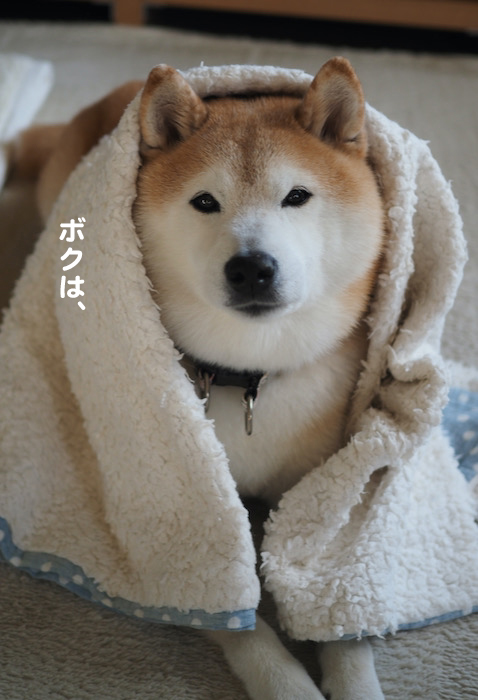 17日ブログ１
