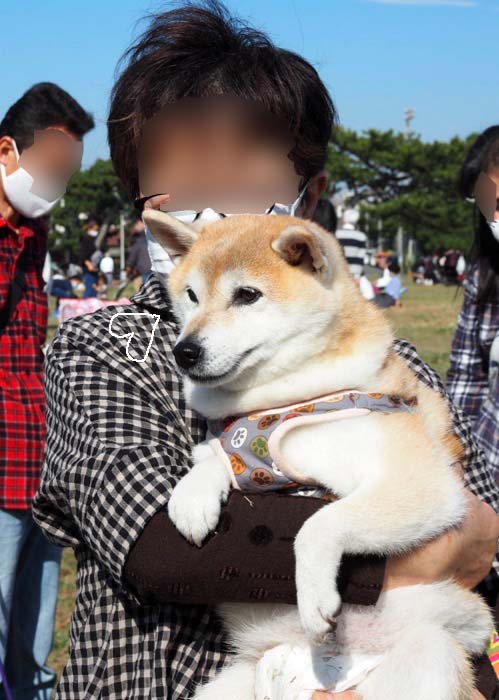 8日ブログ９