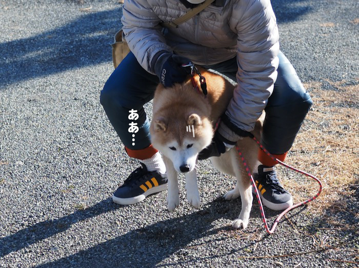 9日夕ブログ４