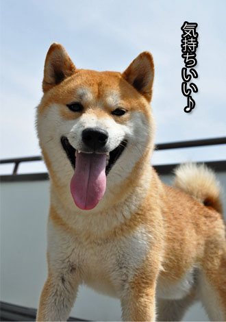 25日ブログ2.jpg