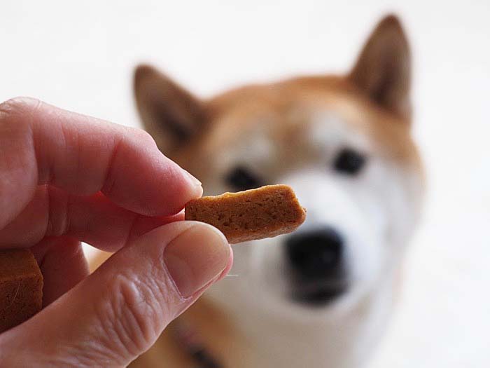 8日午後ブログ３