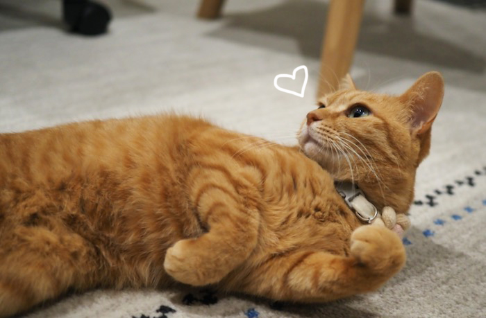 27日夕ブログ４