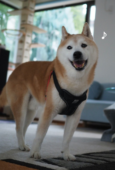 18日夕ブログ２