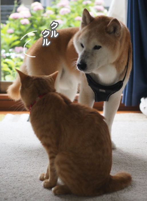 16日ブログ１
