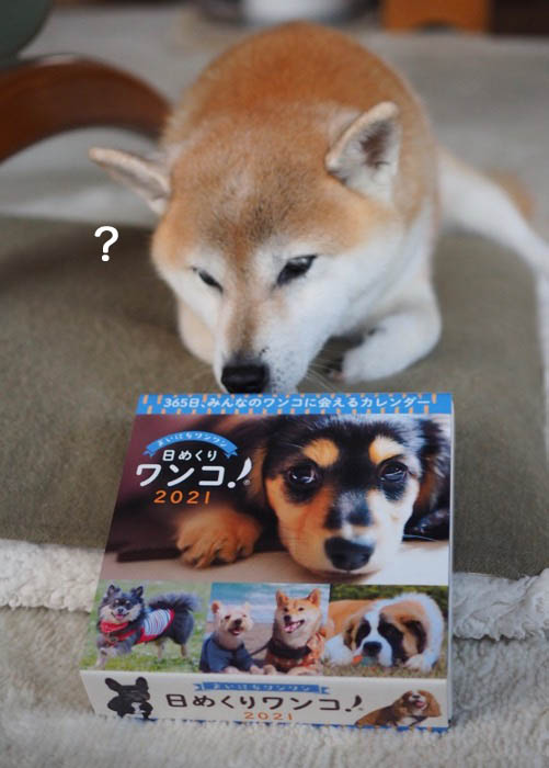 30日ブログ１