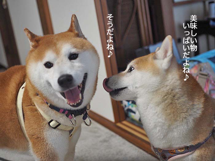 26日夜ブログ１