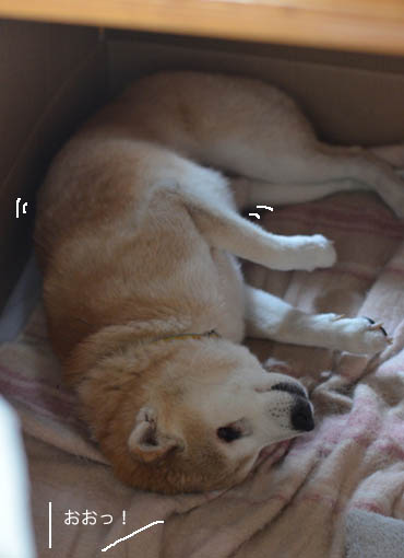 27日ブログ5.jpg