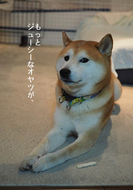 22日ブログ8