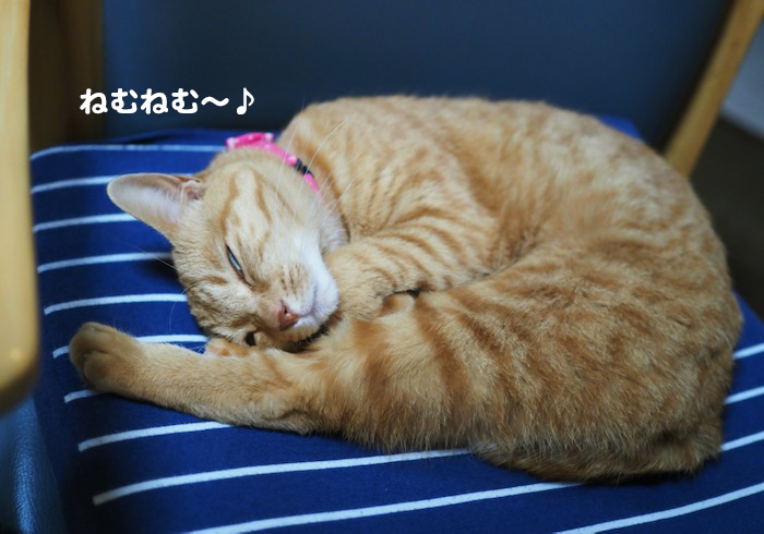 19日ブログ１