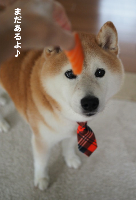23日ブログ６