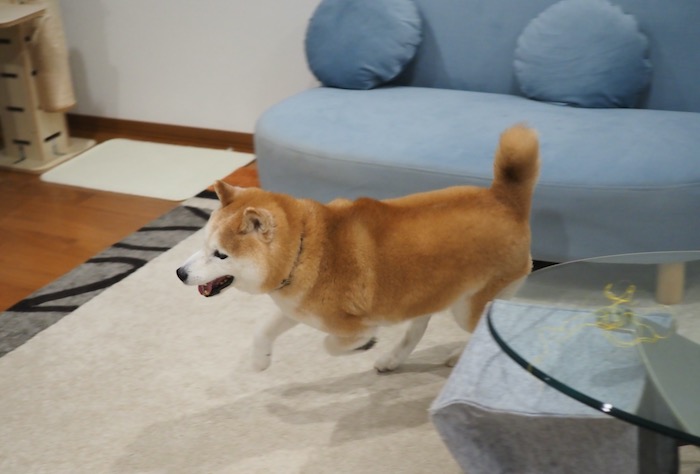 22日夕ブログ３１