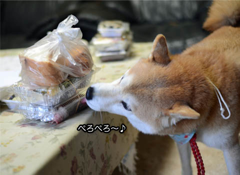 29日ブログ6.jpg
