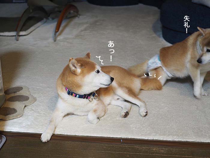 23日ブログ７