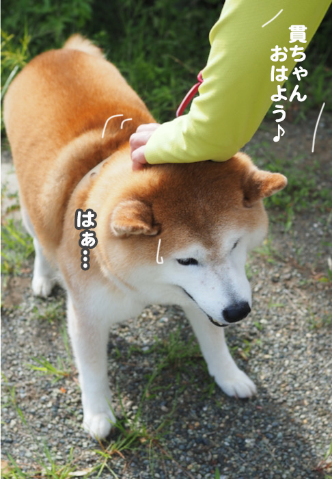 14日夕ブログ７