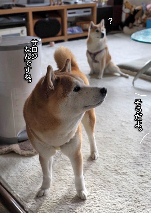 26日夜ブログ７