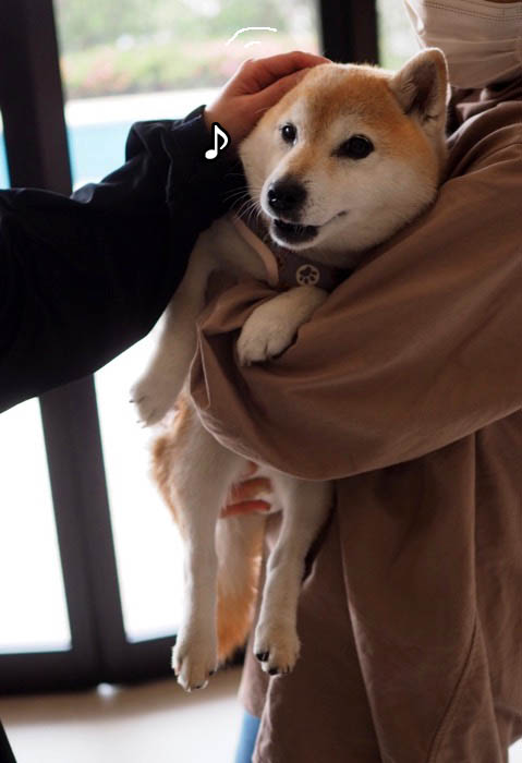 6日ブログ４