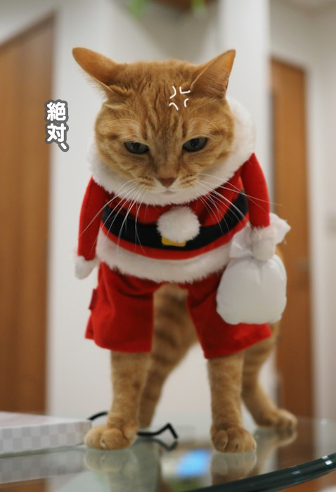 24日ブログ２