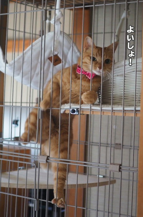 20日ブログ２
