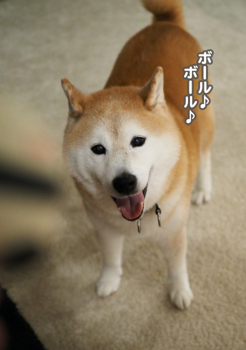 8日夕ブログ２