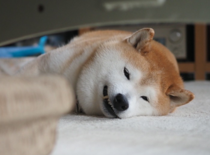 17日ブログ１
