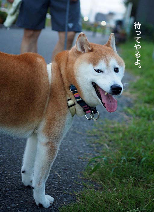 7日ブログ７
