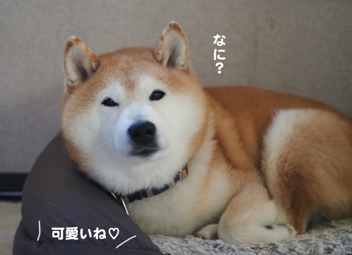 11日ブログ４
