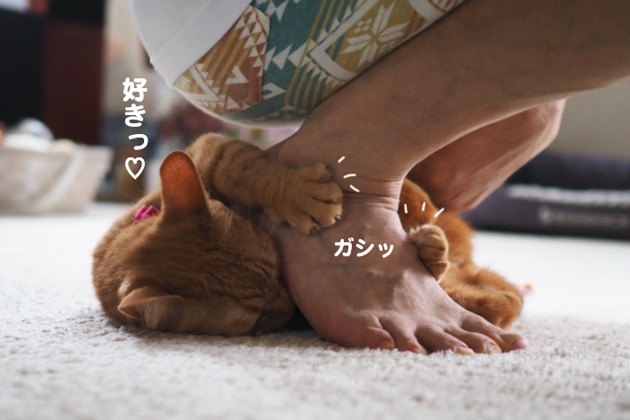 31日夕ブログ５