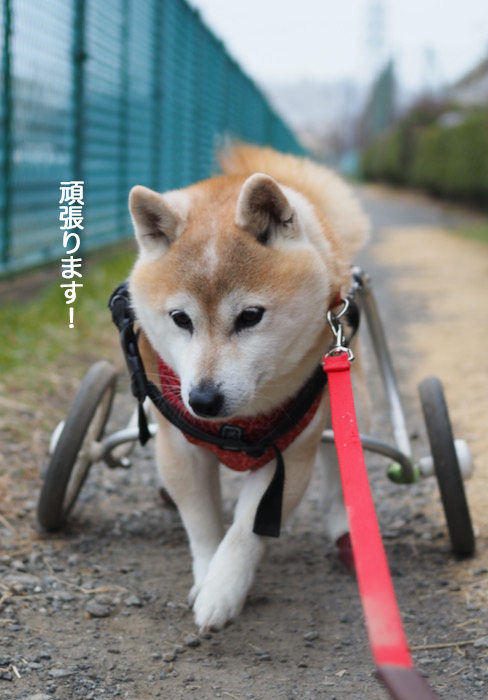 23日夜ブログ１
