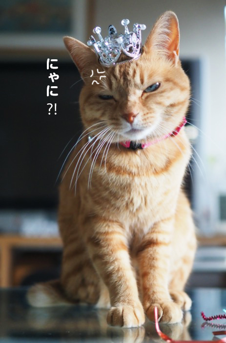 13日ブログ４