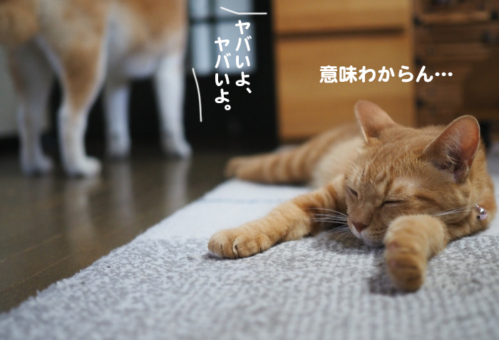 18日ブログ６