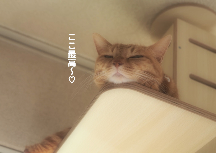 1日夕ブログ７