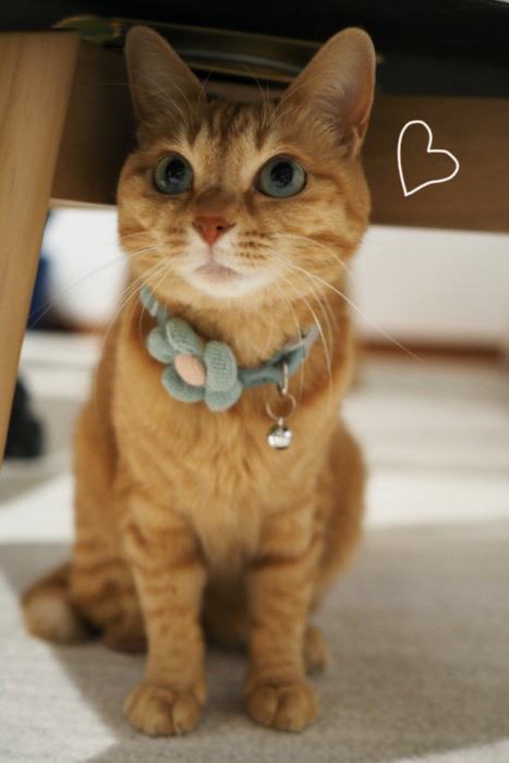 5日ブログ５