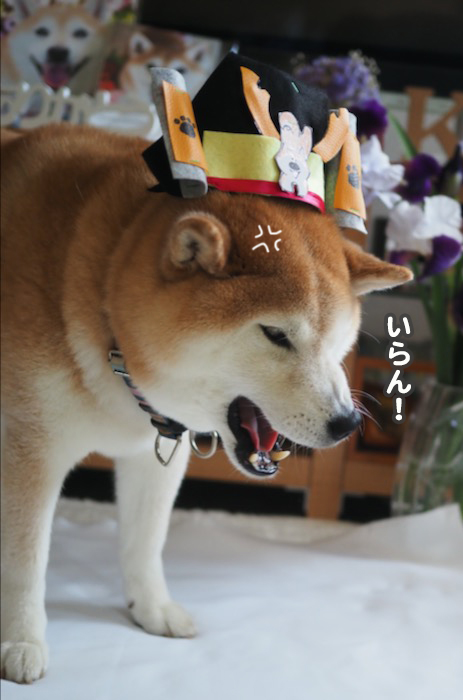 5日ブログ７