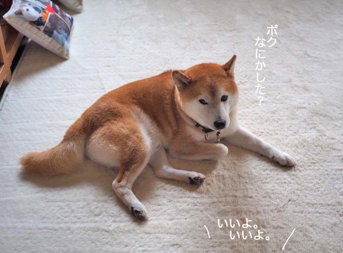 6日午後ブログ9