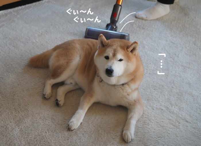 2日夕ブログ５