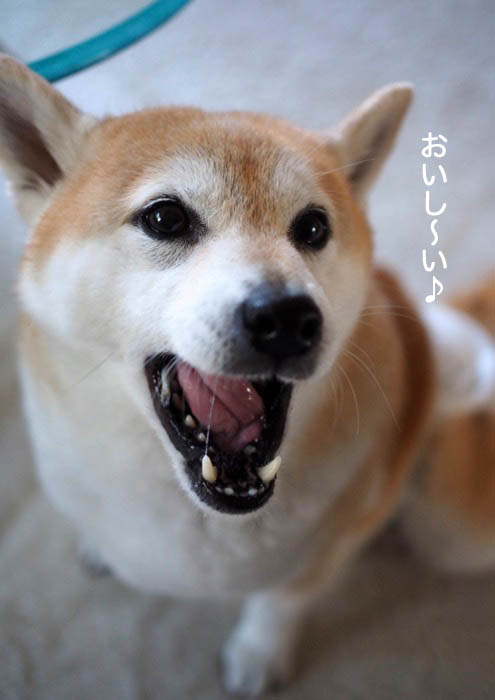 3日午後ブログ５