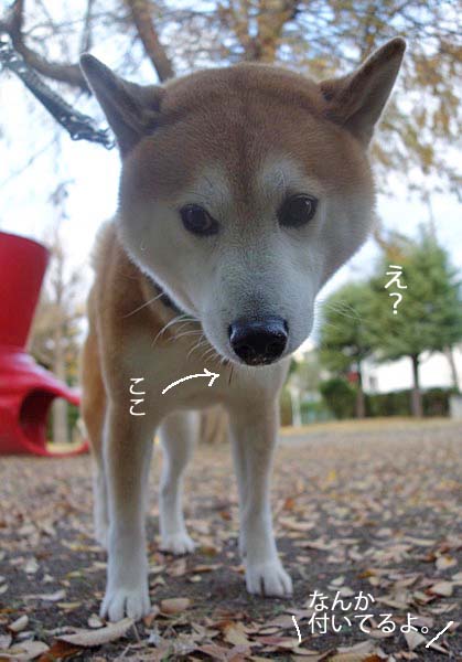 27日ブログ3
