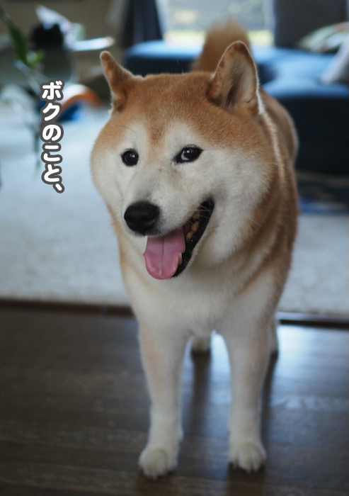 24日ブログ２