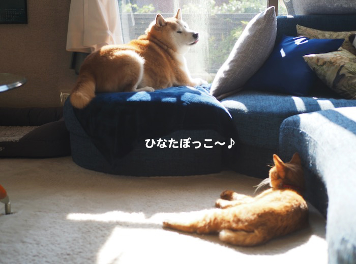 27日ブログ２
