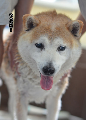 28日ブログ5.jpg