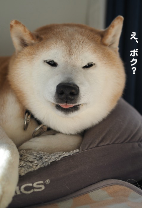 22日ブログ２