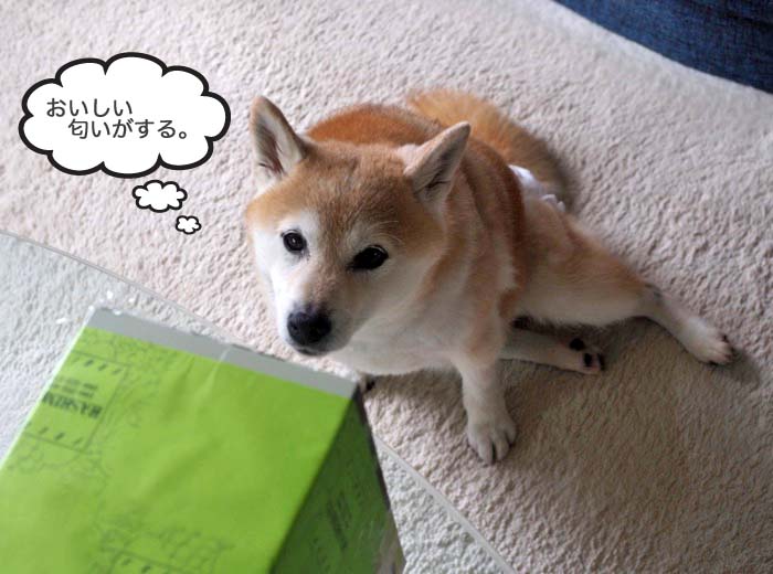 29日夜ブログ３
