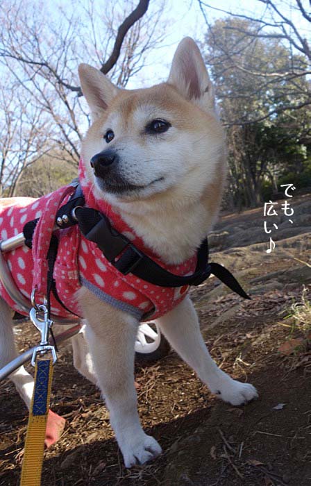 23日午後ブログ3