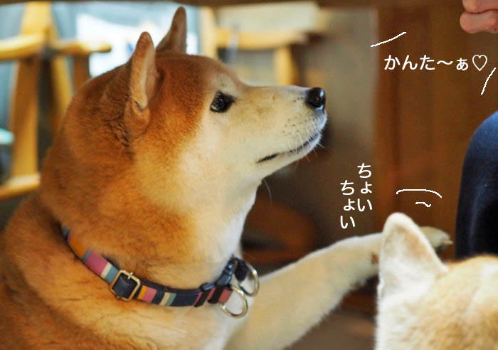7日夜ブログ７