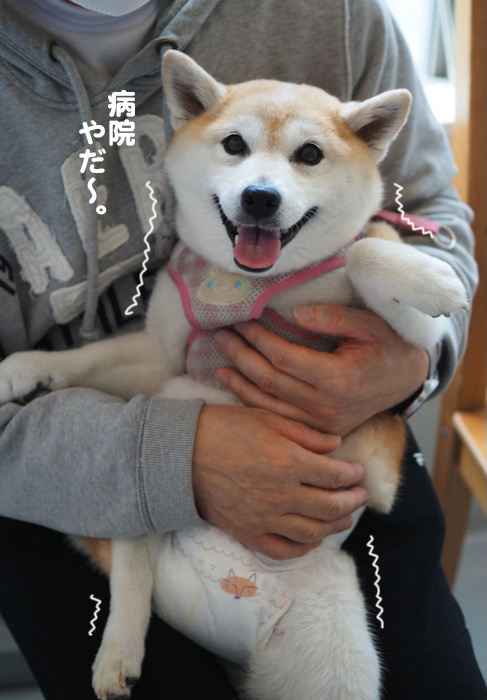 1日夜ブログ３