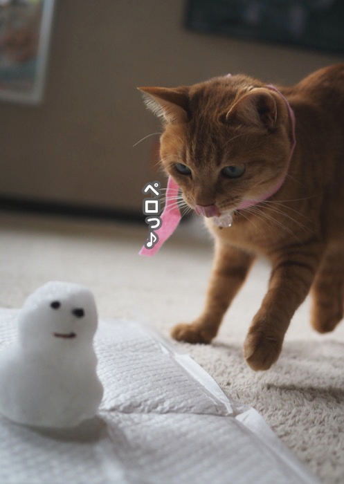 6日夕ブログ６